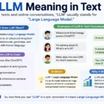 llm meaning in text