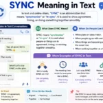 sync meaning in text