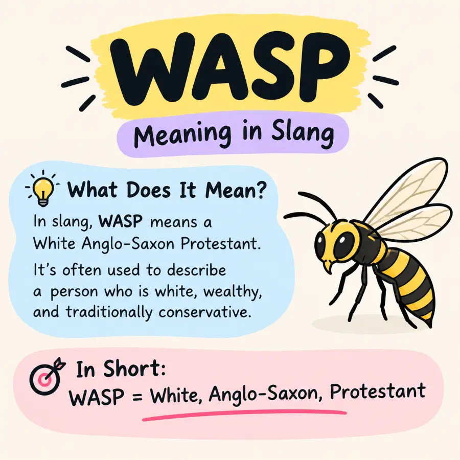 wasp meaning slang
